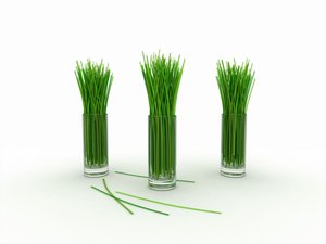 量子计算深度科普：量子并行性的原理与局限